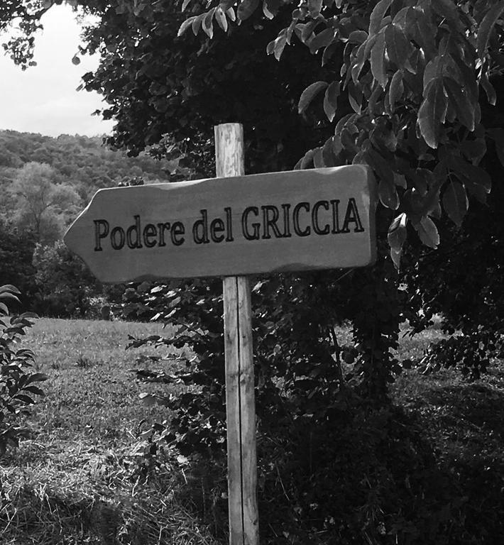 Podere Del Griccia Чивітелла-ін-Валь-ді-К'яна Екстер'єр фото