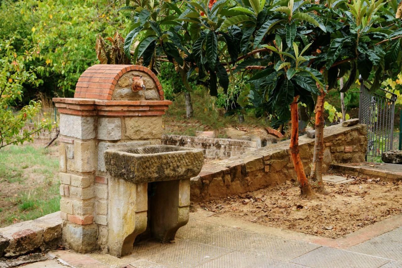 Podere Del Griccia Чивітелла-ін-Валь-ді-К'яна Екстер'єр фото